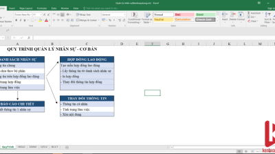 [Excel] Quy trình quản lý nhân sự