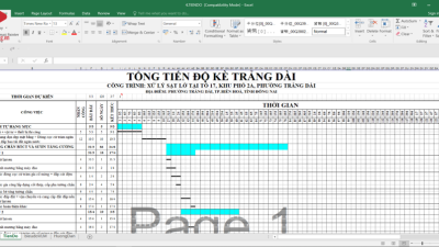[Excel] Tiến độ dự án